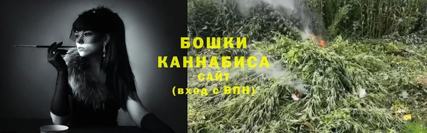 PSILOCYBIN Армянск