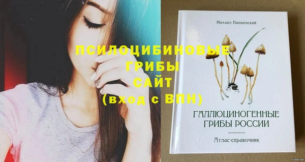 прущая мука Арсеньев