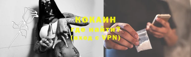 бошки Аркадак