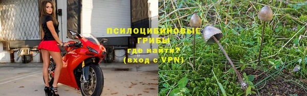 бошки Аркадак
