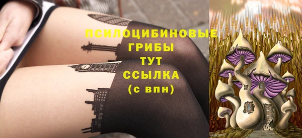 прущая мука Арсеньев